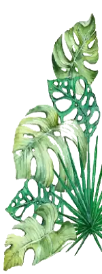 plantas-alpha-park-view-barueri-1