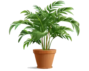 planta-vaso-alpha-park-view-1